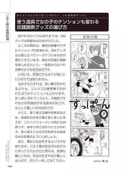 Zero kara Hajimeru SM Manual Kawaii Dorei Shiikujutsu