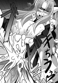 (C75) [Kanten Jigenryuu] Akizakura Kemonorin (Super Robot Taisen, Xenosaga)