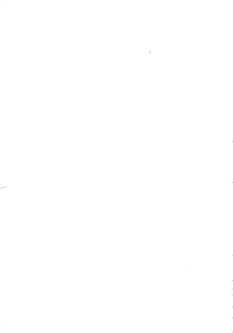 Cat Motion {Hennojin}