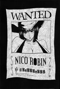 (C77) [Sato Samitt (Satomi Sato)] Pleasure (One Piece‎) [English] {doujin-moe.us}