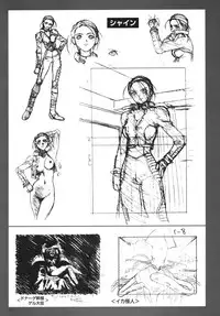 SOGNA ILLUSTRATIONS