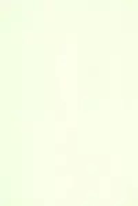 (C61) [Ashinoie (Taryl.)] Hinnyuu Musume 9 (Kasumin, Final Fantasy VIII)