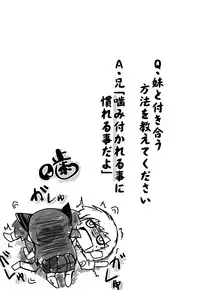 [Sawano Akira] Imouto to Tsukiau 11 no Houhou