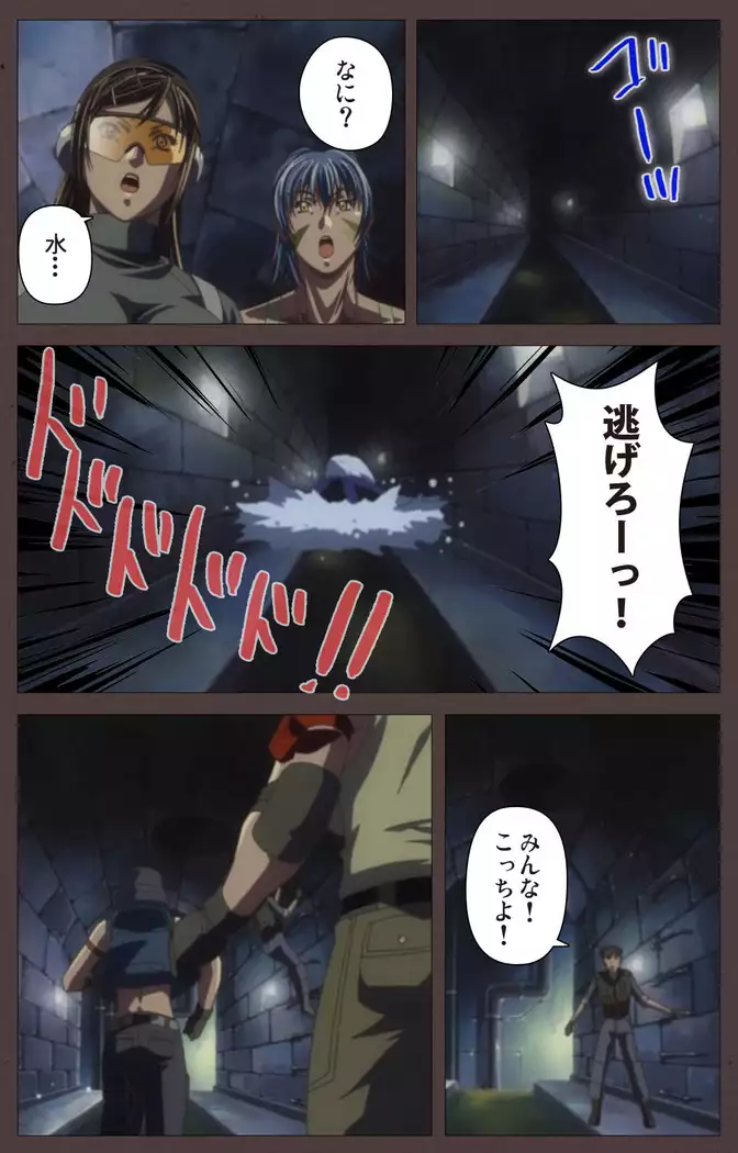 DISCIPLINE Sai shusho Complete ban