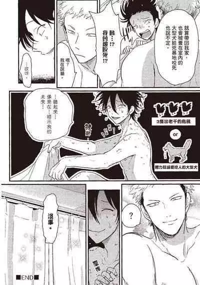 Yatamomo 1 | 八田百田 1