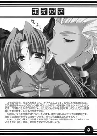 (SC25) [CS205 (Kineya Emuko)] CATHARSIS (Fate/stay night)
