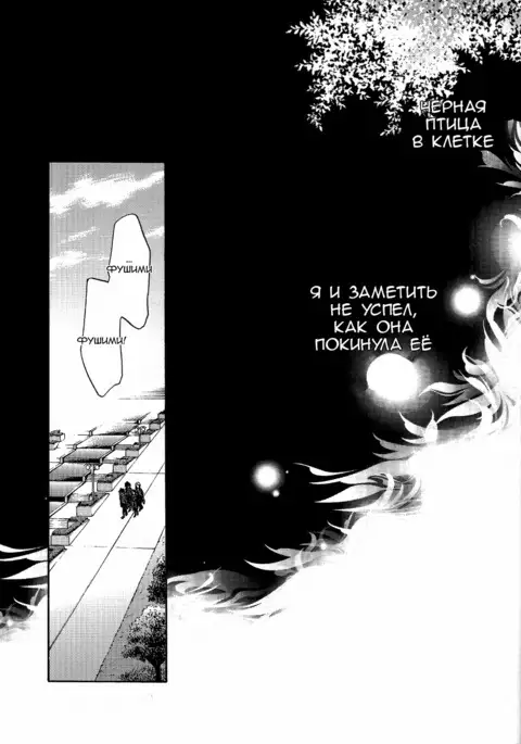 Shiawase no Kuroi Tori | A Black Bird of Happiness