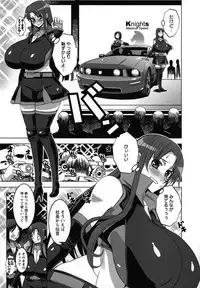 [HG Chagawa] Mesuinu no Hibi