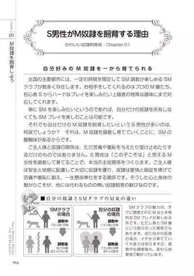 Zero kara Hajimeru SM Manual Kawaii Dorei Shiikujutsu