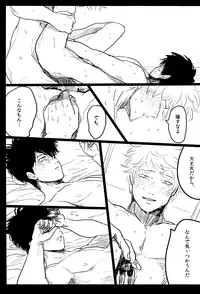 (SPARK7) [Paraiso (Harada)] Ochiru (Gintama)