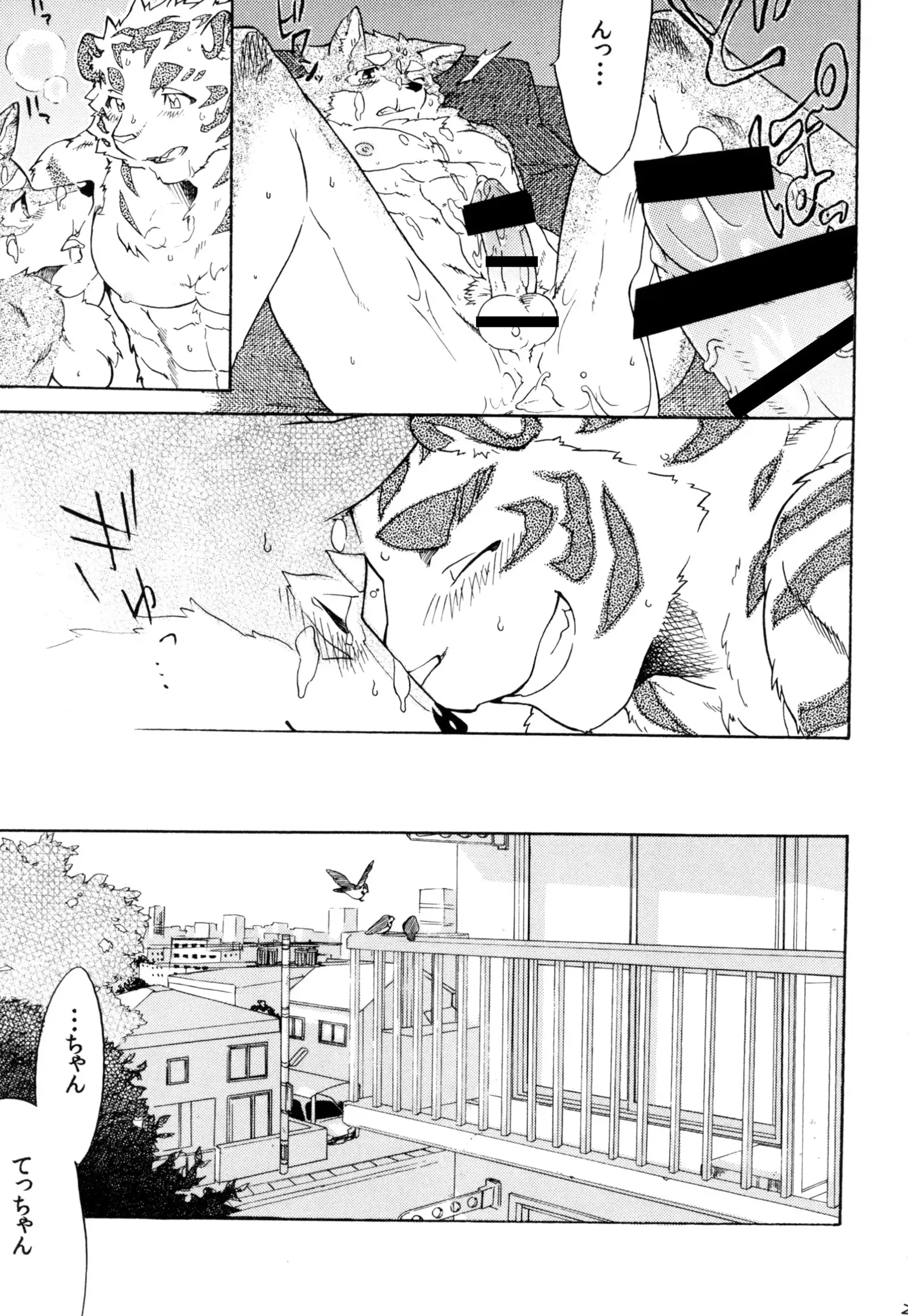 {hato] Gin Iro no Tetsou