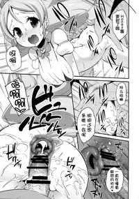(C87) [Condiment wa Hachibunme (Maeshima Ryou)] Happiness experience2 (HappinessCharge Precure!) [Chinese] [狼娘汉化]