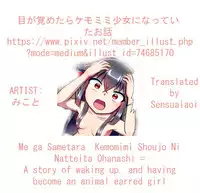 Me Ga Sametara kemomimishoujo ni natteita ohanashi