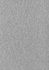 (C78) [UGC (Sasaki Akira)] Mikkai (Amagami) [English]