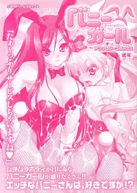 Bunny Girl Anthology Comics