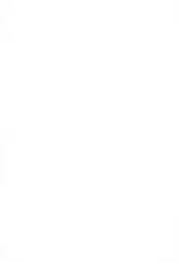 (C67) [TWINTAIL] Gekkan Shizuka (Doraemon)