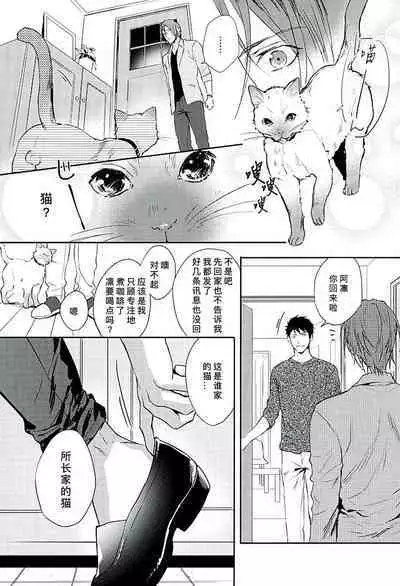 (C89) [SAKEPAPA (Ooki)] Wagaya no Nyanko-sama | 我家的喵主子 (Free!) [Chinese] [桃紫ScoTT_TT]