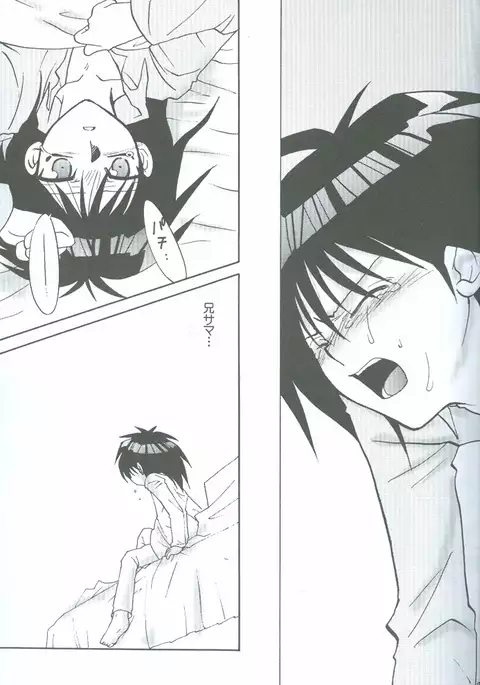 Kanashimi no Kawa o Yorokobi no Oka o