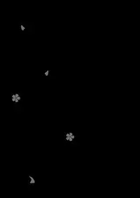 Akaneiro ni Somaru Wakazuma