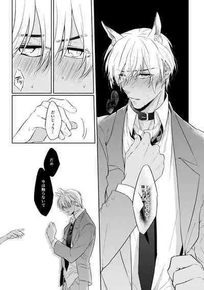 Shibarunara kiminotede