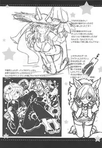 (C92) [Ichigosize (Natsume Eri)] Mikotto Summer Aventure! (Fate/Grand Order)