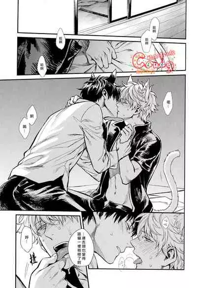 (HaruCC19) [3745HOUSE (MIkami Takeru)] Like cat and dog (Gintama) [Chinese] [糖分漢化組]