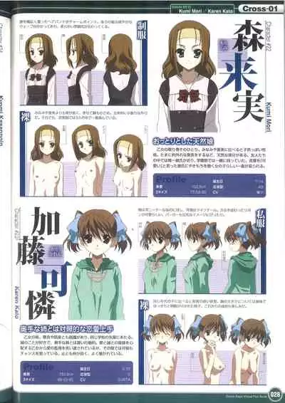 Cross Days Visual Fan Book