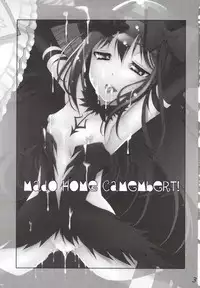 [Matsuge Antenna (Maihara Matsuge)] MadoHomu Camembert (Puella Magi Madoka Magica) [Digital]