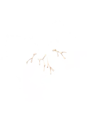 Yuuka-Chirabatta Daiyoukai no Kakera-