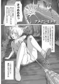 [Anthology] PLUM FE Vol. 8 [Digital]