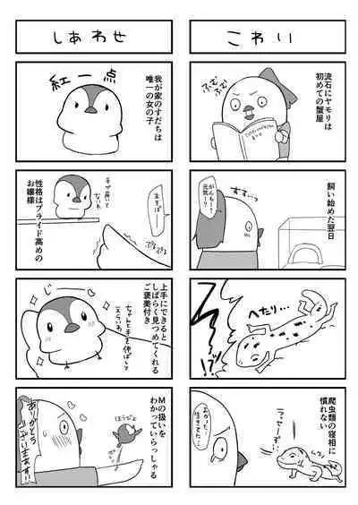 Shota ga Tame ni Bel wa Naru 2