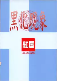 (C66) [Beniya (Kurenai Yuuki)] Fake black out SIDE-B (Fate/Stay Night)