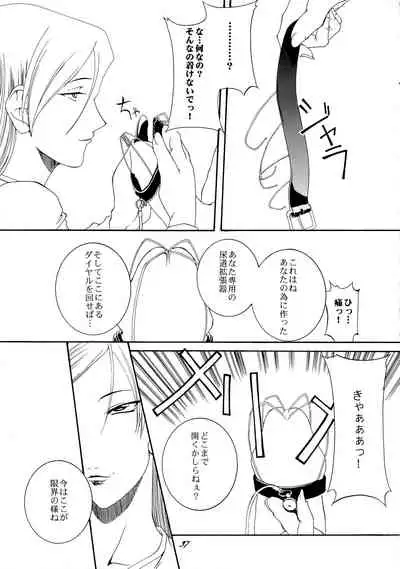 (CR33) [F-A (Honoutsukai)] Xs