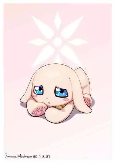 蘑菇的杂图集合