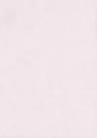 (C81) [Kuma-tan Flash!] Scapegoat Act:2 (Touhou Project)