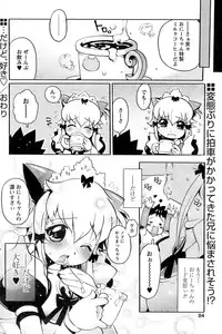 Comic Papipo 2006-12