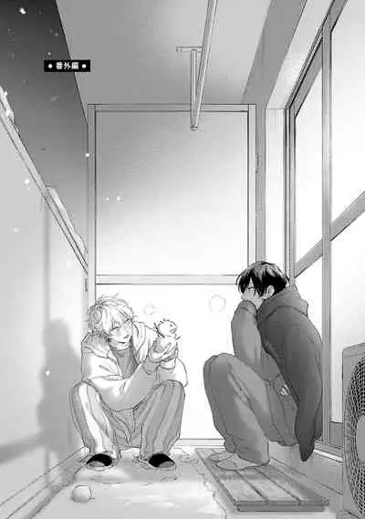 Sex Drop Bangaihen | 情爱下坠 番外篇 +单行本特典