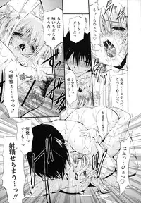 [Noraneko Nagaya] Horoama Omocha Hako