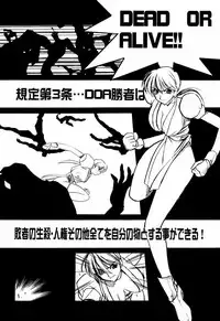 (C56) [UA Daisakusen (Harada Shoutarou)] Ruridou Gahou 9 (Dead Or Alive)