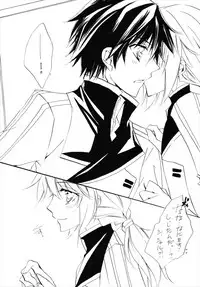 (C80) [GIRL'S KINGDOM (Sakurai Aya)] Because I Love You (IS <Infinite Stratos>)