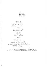 (COMIC1☆8) [Full Accele (Akiya Akira)] Chou Q Riron (Neon Genesis Evangelion)