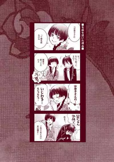 Hako no Naka no Neko Soushuuhen