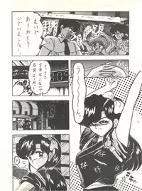 [L-Gauge Sha (Shouryuu)] WA 2 (Ranma 1/2, Bastard) [1993-10-03]