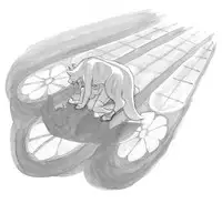 [pink-noise (Mizuiro Megane)] Holy&Beast ~Seijo to Ookami~ (Queen's Blade)