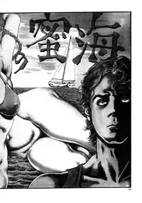 [Kasama Shirou] Kasama Shirou Sakuhin Vol. 3 Chijyoku no Kokuin