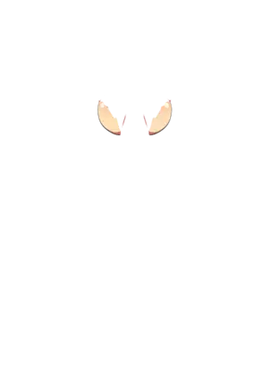 Yuuka-Chirabatta Daiyoukai no Kakera-