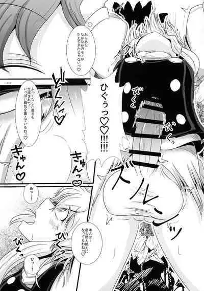 Touhou Ochinpo Haechatta Goudoushi