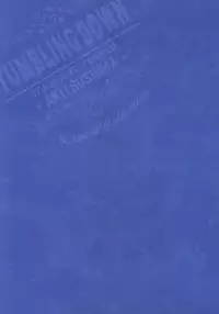 (C88) [ARESTICA (Ariko Youichi)] TUMBLING DOWN (Kantai Collection -KanColle-)