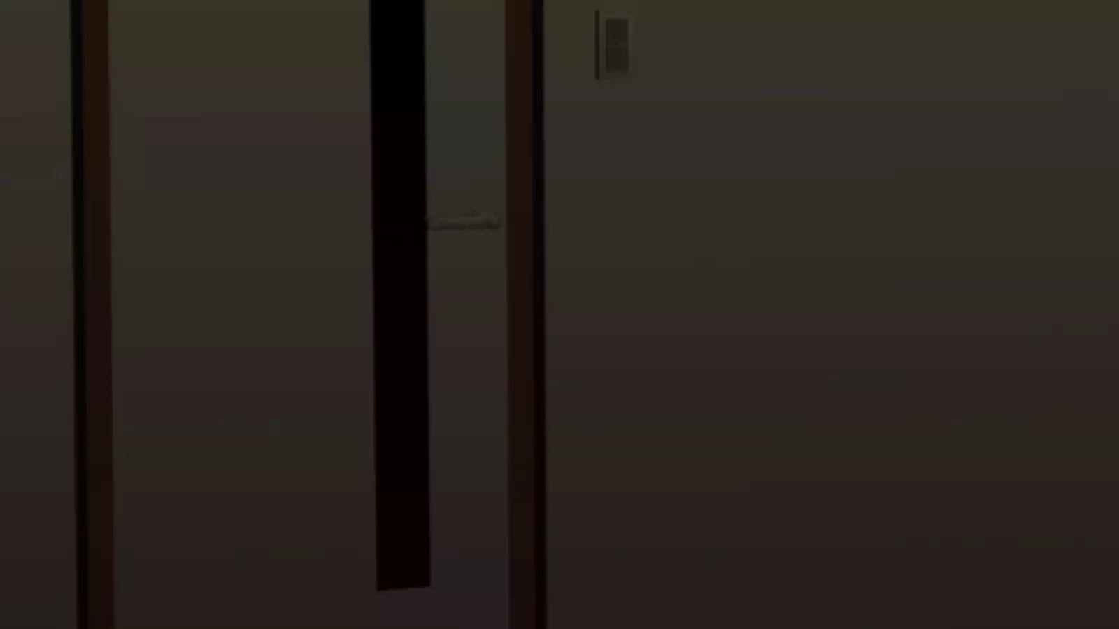 Watashi wa Korekara mo, Kitto Anata ga Suki.