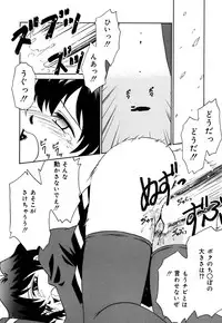 [Donkey] Chocotto Ne